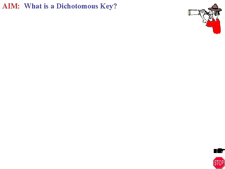 AIM: What is a Dichotomous Key? 