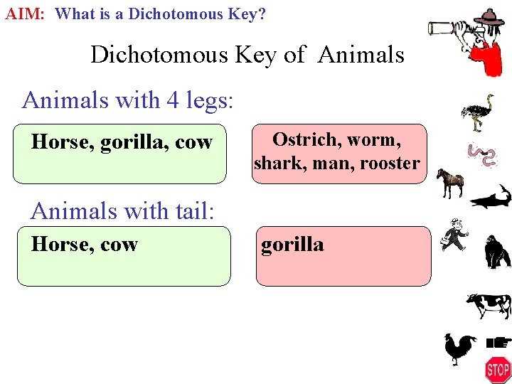 AIM: What is a Dichotomous Key? Dichotomous Key of Animals with 4 legs: Horse,