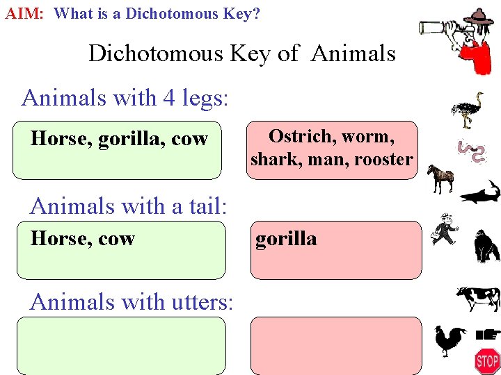 AIM: What is a Dichotomous Key? Dichotomous Key of Animals with 4 legs: Horse,