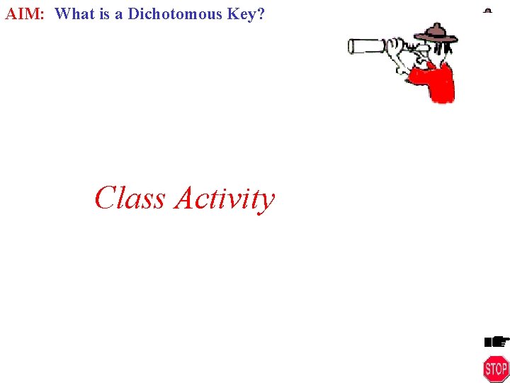 AIM: What is a Dichotomous Key? Class Activity 