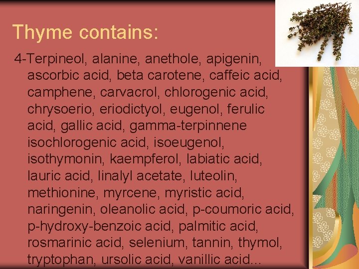 Thyme contains: 4 -Terpineol, alanine, anethole, apigenin, ascorbic acid, beta carotene, caffeic acid, camphene,