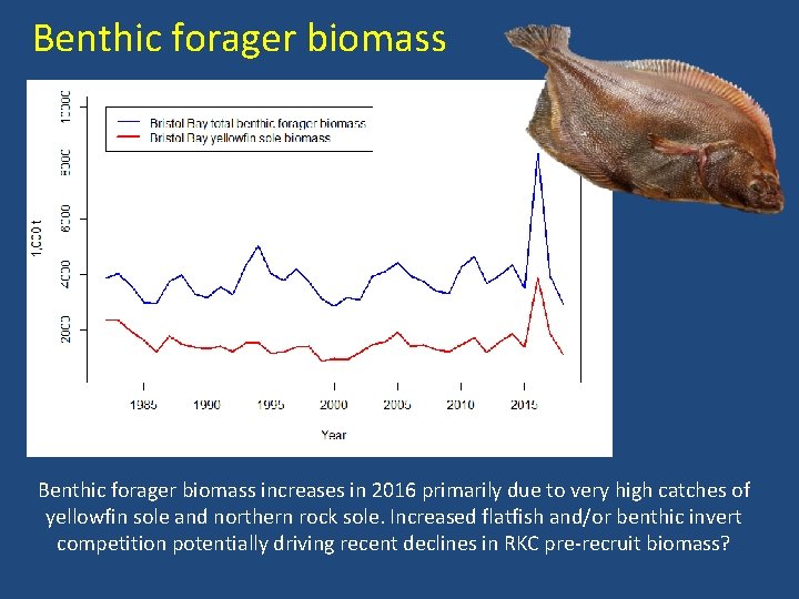 Benthic forager biomass increases in 2016 primarily due to very high catches of yellowfin