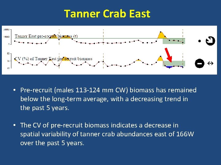 Tanner Crab East • Pre-recruit (males 113 -124 mm CW) biomass has remained below