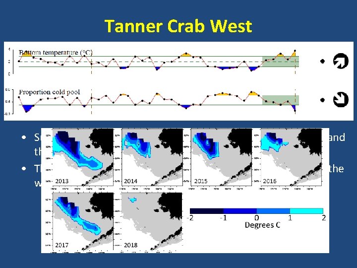 Tanner Crab West • Summer bottom temperatures were above average in 2018, and the