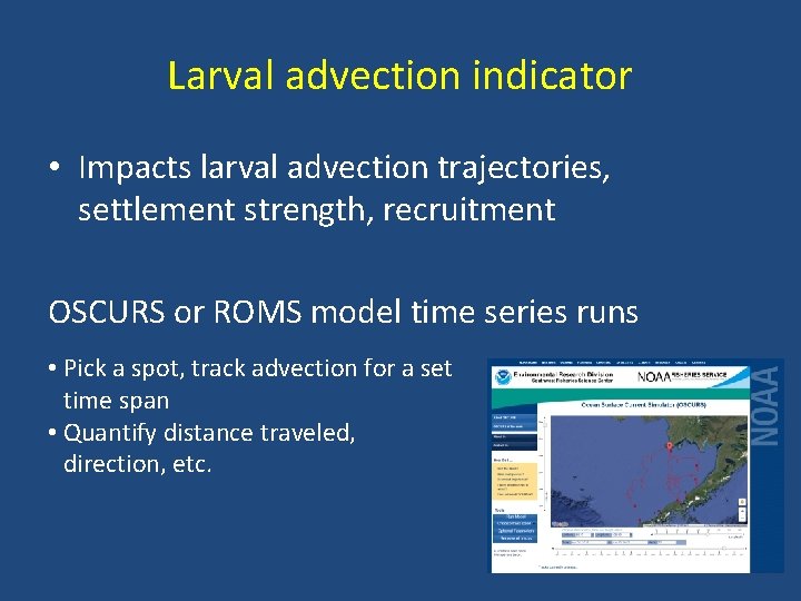 Larval advection indicator • Impacts larval advection trajectories, settlement strength, recruitment OSCURS or ROMS