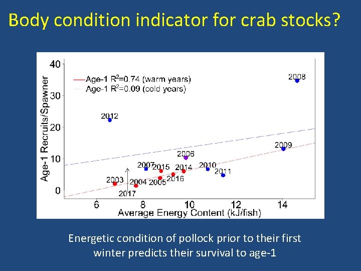 Body condition indicator for crab stocks? Energetic condition of pollock prior to their first