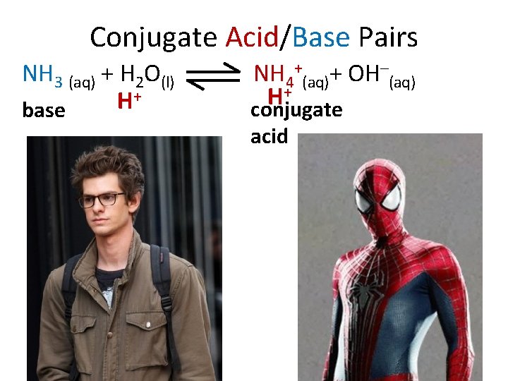 Conjugate Acid/Base Pairs NH 3 (aq) + H 2 O(l) + H base NH
