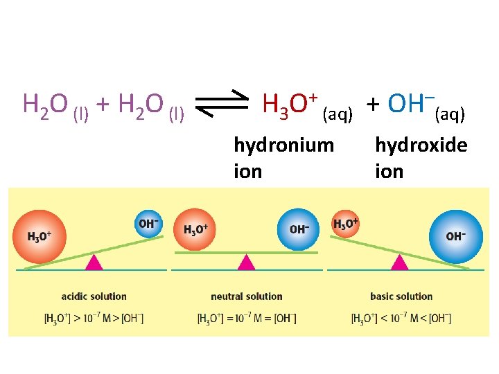 H 2 O (l) + H 2 O (l) H 3 O+ (aq) +