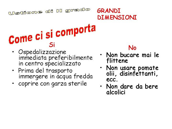 GRANDI DIMENSIONI Si • Ospedalizzazione immediata preferibilmente in centro specializzato • Prima del trasporto