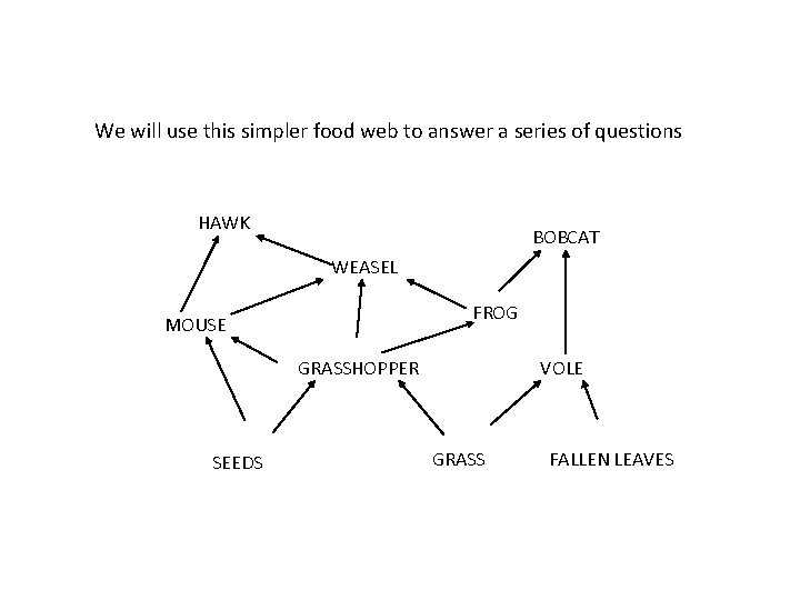We will use this simpler food web to answer a series of questions HAWK