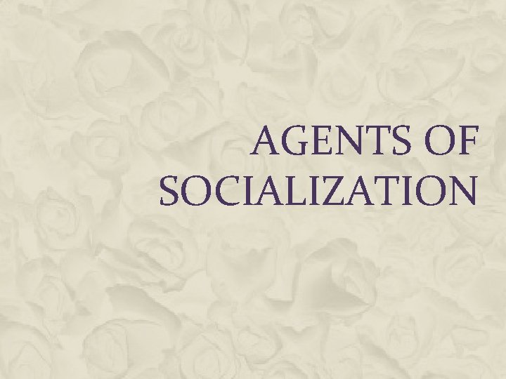 AGENTS OF SOCIALIZATION 