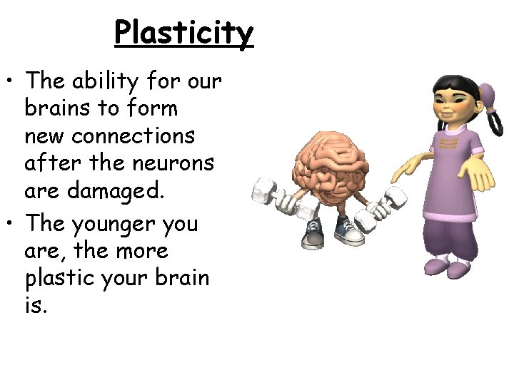 Plasticity • The ability for our brains to form new connections after the neurons