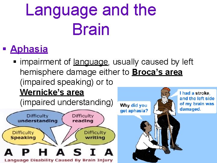 Language and the Brain § Aphasia § impairment of language, usually caused by left
