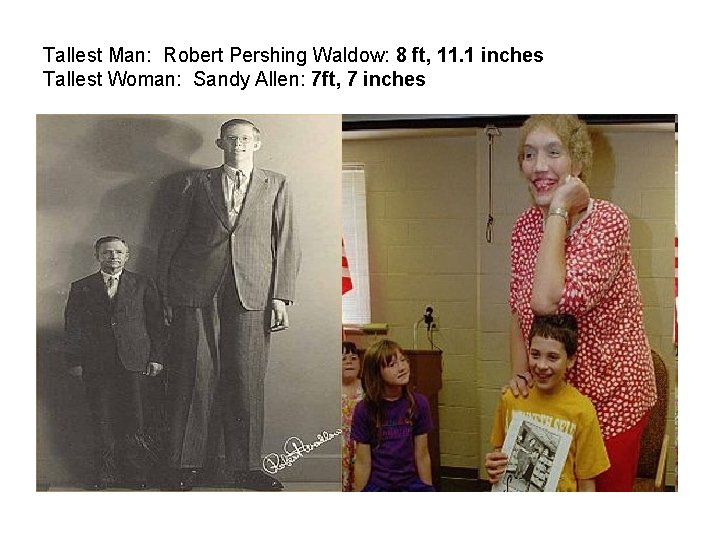 Tallest Man: Robert Pershing Waldow: 8 ft, 11. 1 inches Tallest Woman: Sandy Allen: