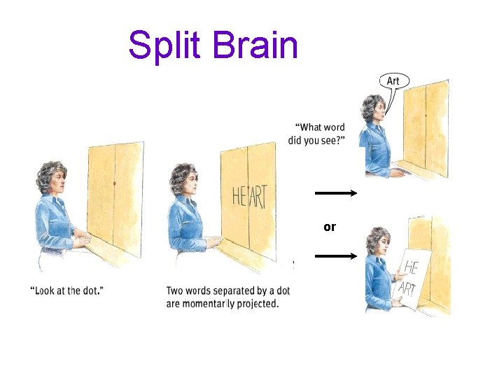 Split Brain or 