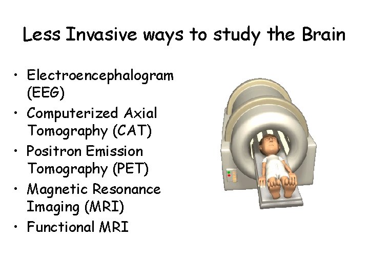 Less Invasive ways to study the Brain • Electroencephalogram (EEG) • Computerized Axial Tomography
