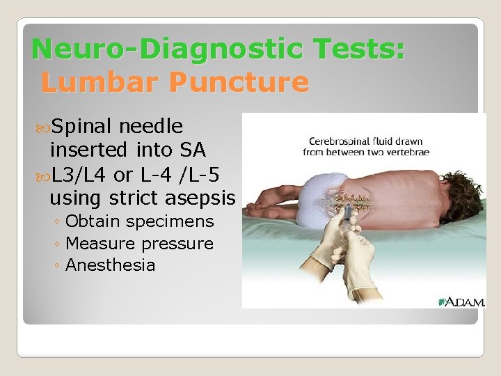 Neuro-Diagnostic Tests: Lumbar Puncture Spinal needle inserted into SA L 3/L 4 or L-4