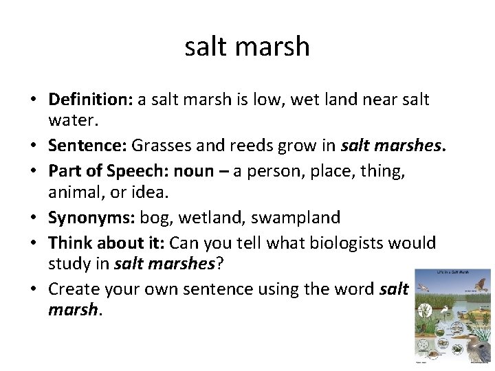 salt marsh • Definition: a salt marsh is low, wet land near salt water.