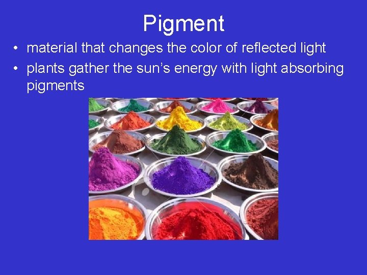 Pigment • material that changes the color of reflected light • plants gather the