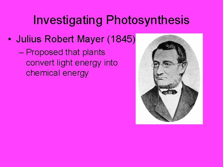 Investigating Photosynthesis • Julius Robert Mayer (1845) – Proposed that plants convert light energy
