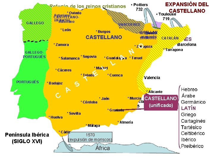 GALLEGO CASTELLANOReino de GALLEGO GALICIA GALLEGOPORTUGUÉS * Oviedo Asturiano CASTELLANO(dialecto) asturiano * León Reino