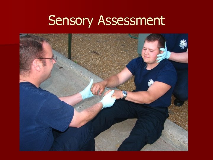 Sensory Assessment 