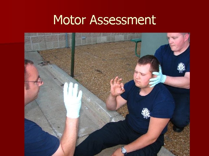 Motor Assessment 