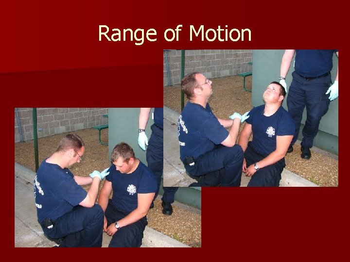 Range of Motion 