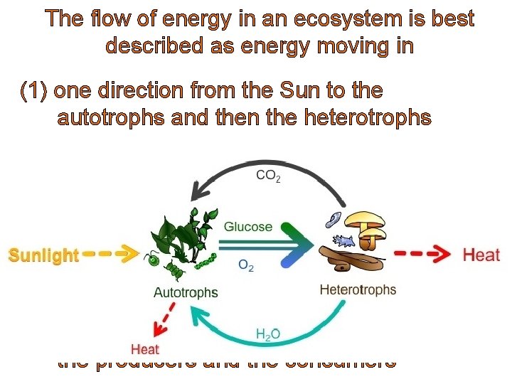 The flow of energy in an ecosystem is best described as energy moving in