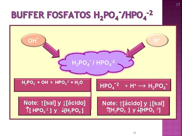 17 BUFFER FOSFATOS H 2 PO 4 -/HPO 4 -2 OH- H+ H 2