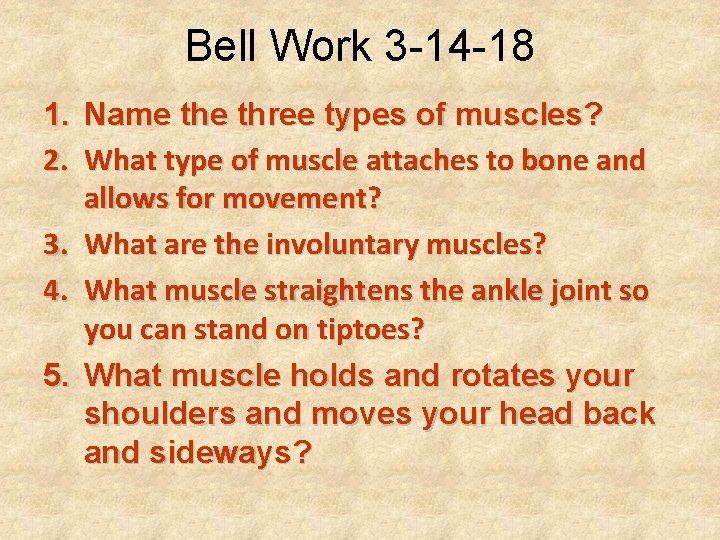 Bell Work 3 -14 -18 1. Name three types of muscles? 2. What type