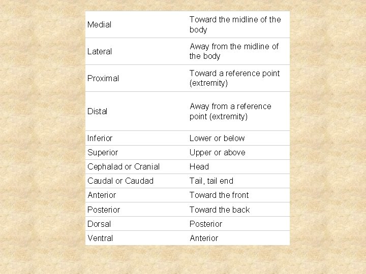 Medial Toward the midline of the body Lateral Away from the midline of the