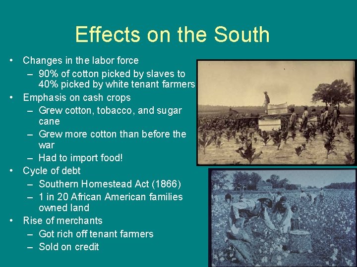 Effects on the South • Changes in the labor force – 90% of cotton