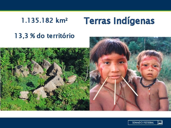 1. 135. 182 km² Terras Indígenas 13, 3 % do território 14 