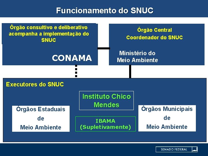 Funcionamento do SNUC Órgão consultivo e deliberativo acompanha a implementação do SNUC CONAMA Órgão
