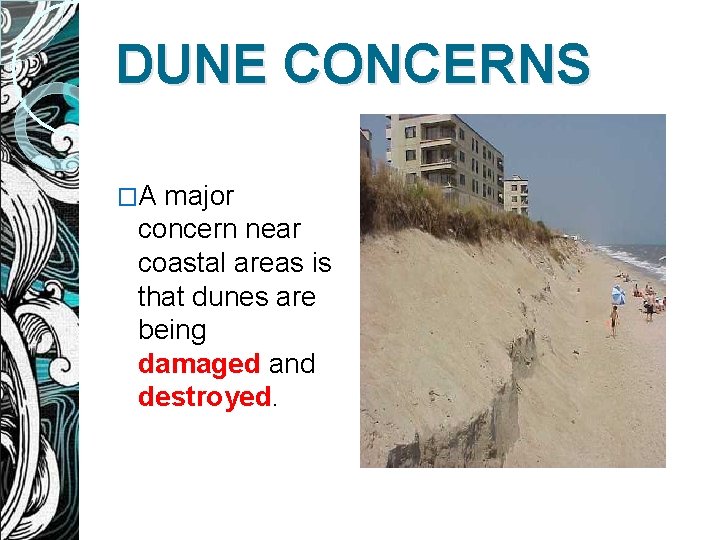 DUNE CONCERNS �A major concern near coastal areas is that dunes are being damaged