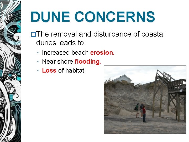 DUNE CONCERNS �The removal and disturbance of coastal dunes leads to: ◦ Increased beach