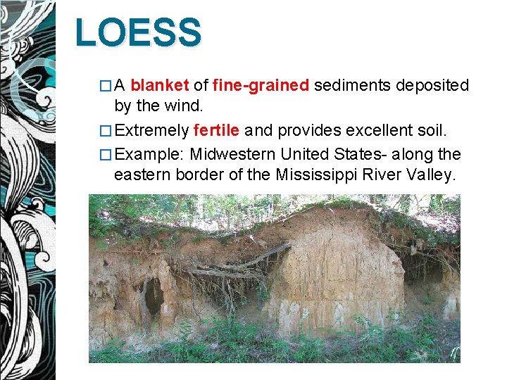 LOESS �A blanket of fine-grained sediments deposited by the wind. � Extremely fertile and
