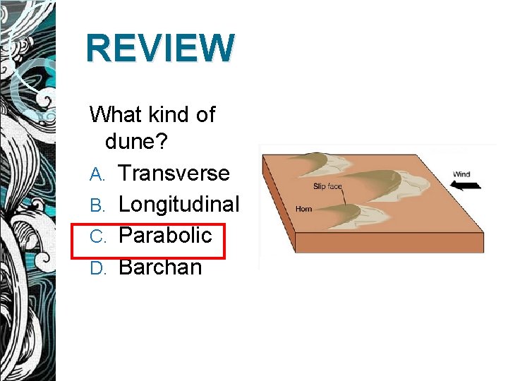 REVIEW What kind of dune? A. Transverse B. Longitudinal C. Parabolic D. Barchan 