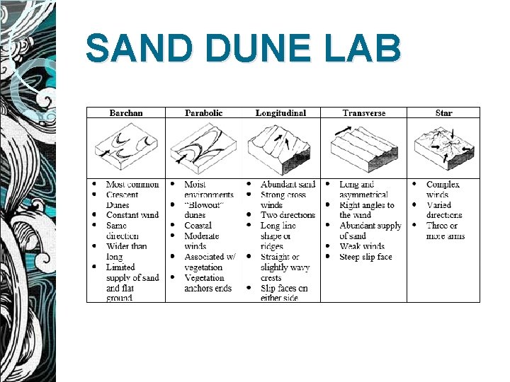 SAND DUNE LAB 