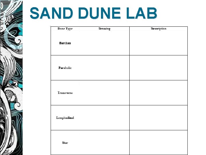 SAND DUNE LAB 