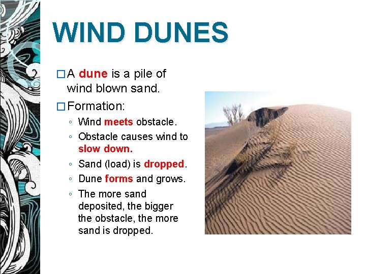 WIND DUNES �A dune is a pile of wind blown sand. � Formation: ◦