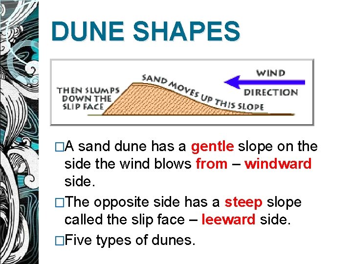 DUNE SHAPES �A sand dune has a gentle slope on the side the wind