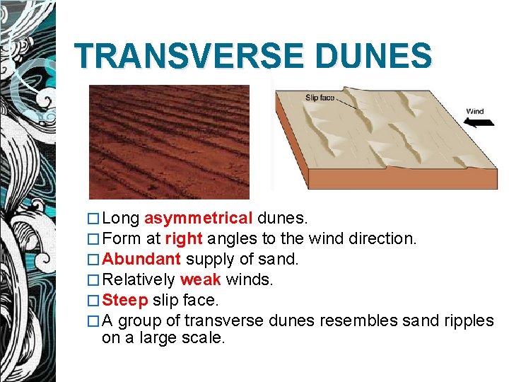 TRANSVERSE DUNES � Long asymmetrical dunes. � Form at right angles to the wind