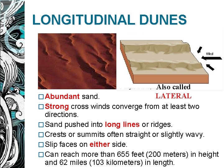 LONGITUDINAL DUNES Also called LATERAL � Abundant sand. � Strong cross winds converge from