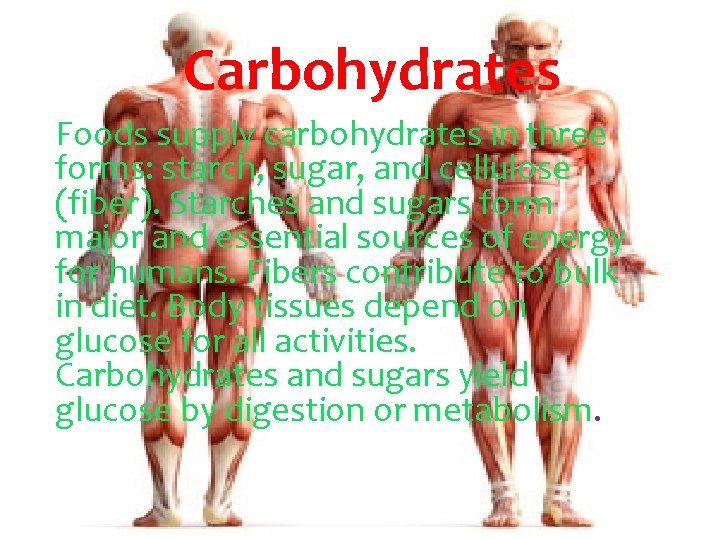 Carbohydrates Foods supply carbohydrates in three forms: starch, sugar, and cellulose (fiber). Starches and