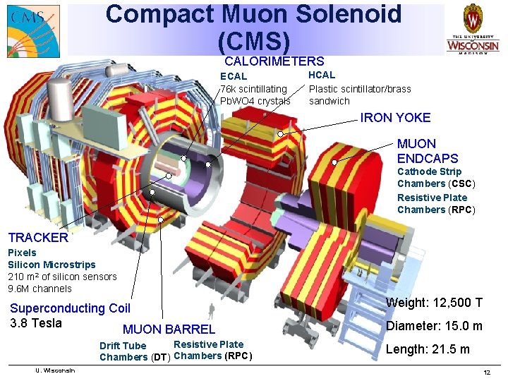 Compact Muon Solenoid (CMS) CALORIMETERS ECAL 76 k scintillating Pb. WO 4 crystals HCAL