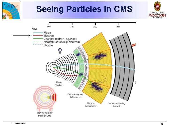 Seeing Particles in CMS U. Wisconsin 14 