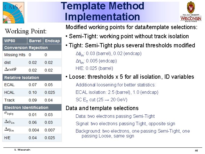 Template Method Implementation Working Point: Modified working points for data/template selections: • Semi-Tight: working