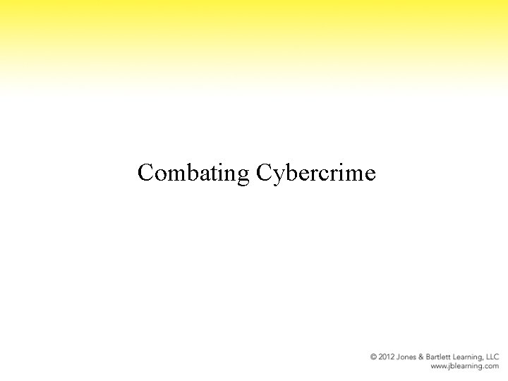 Combating Cybercrime 
